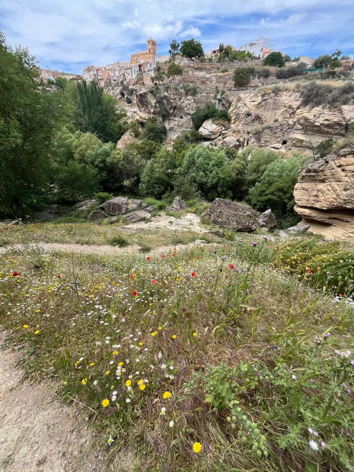 אלהמה דה גרנדה Alojamiento La Escalera מראה חיצוני תמונה