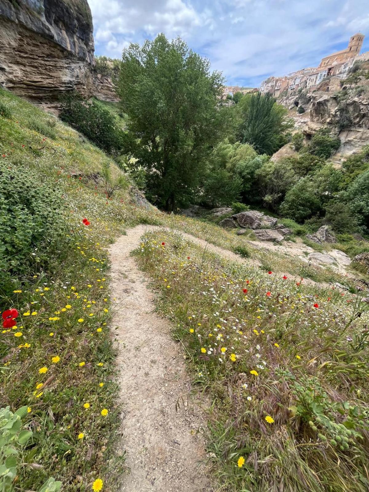 אלהמה דה גרנדה Alojamiento La Escalera מראה חיצוני תמונה
